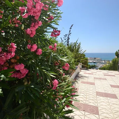 Viva - View Apartment *
