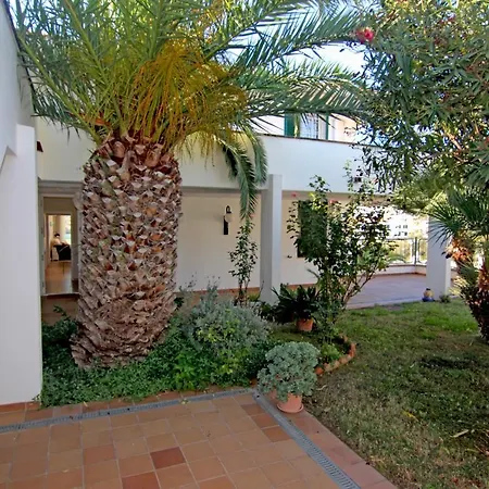 Apartament Viva - View